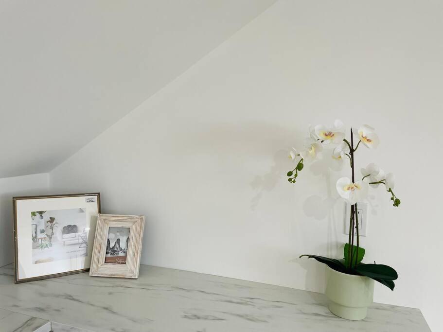 Stylish Cozy One Bedroom Studio With Free Parking Victoria Exterior photo